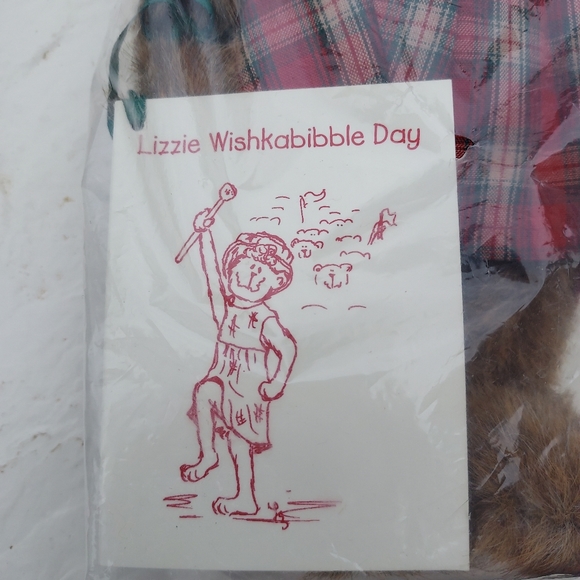 Boyds Bear Lizzie Wishkabibble Day NWT And Small Story Book- sealed original bag - Picture 5 of 5